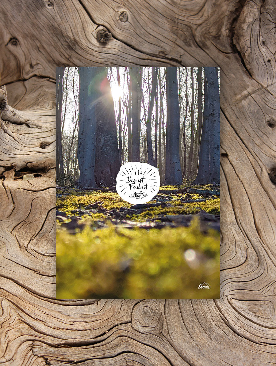 Freiheit - Poster - Wald (PDF-Download)
